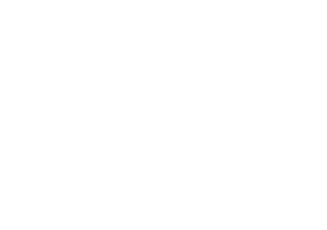 Aloyco Logo