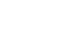 bettis_logo_white
