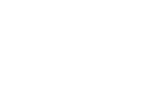 Bonney Forge Logo