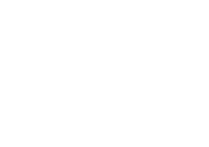 Crane Logo