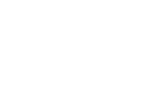 swi_logo_white