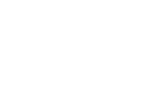 topworx_logo_white