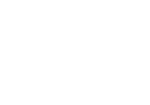 Velan Logo