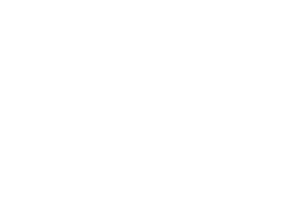 vogt_logo_white