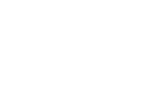 yvi_logo_white
