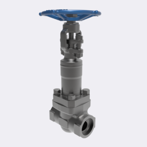 API 602 Bellows Seal Globe Valve - Velan