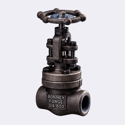 Bonney Forge Forged Steel Gate Valve