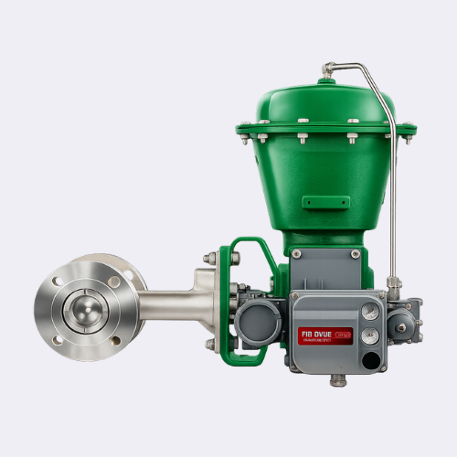 Emerson Fisher V500 Control Valve