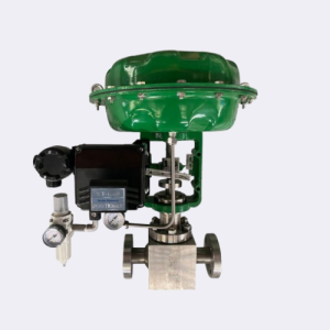 Miwival Globe Control Valve