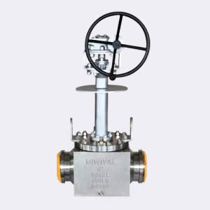 MIWIV Top Entry Cryogenic Ball Valve Extended Bonnet LNG Pipeline Isolation Valve