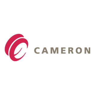 Cameron WKM Check Valve